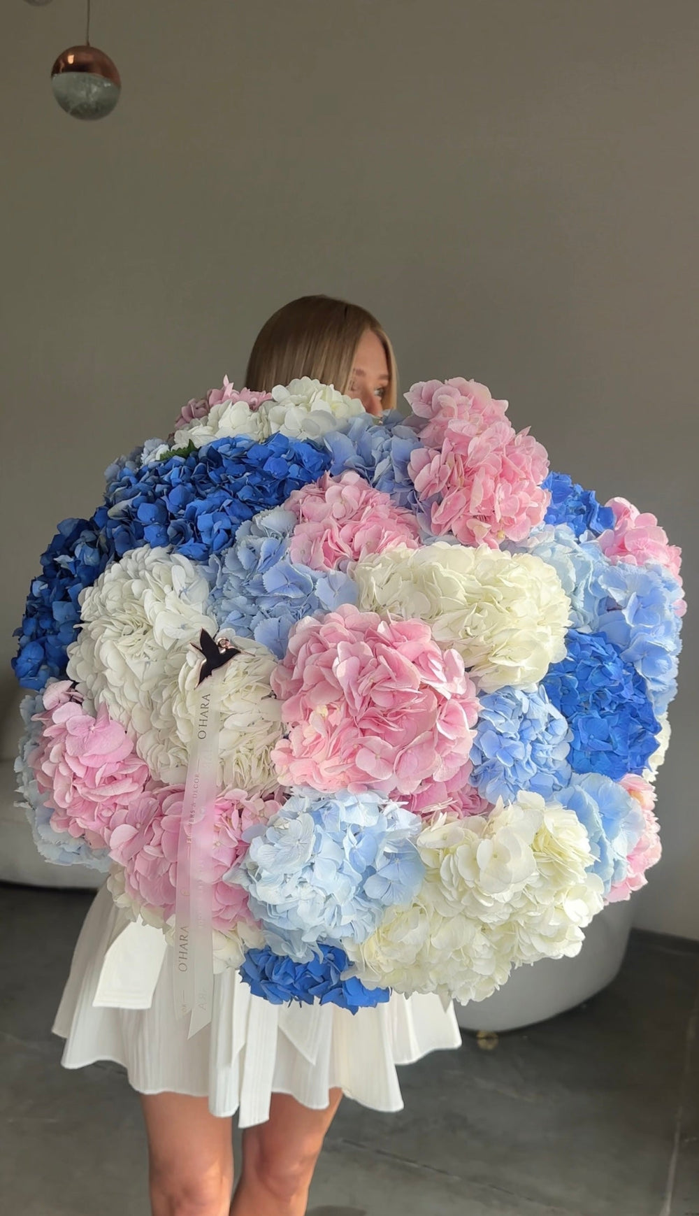 Hydrangea paradise