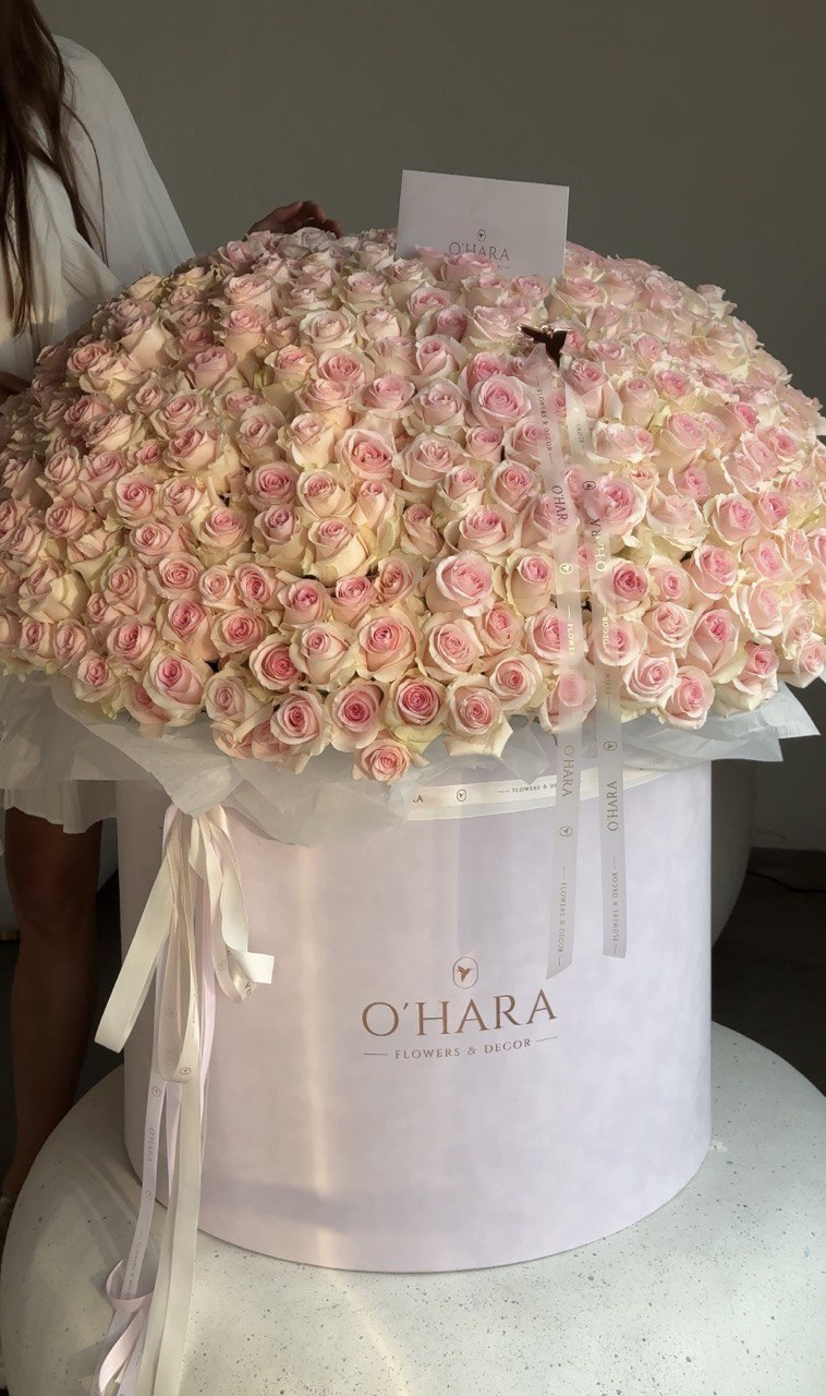 Royal roses