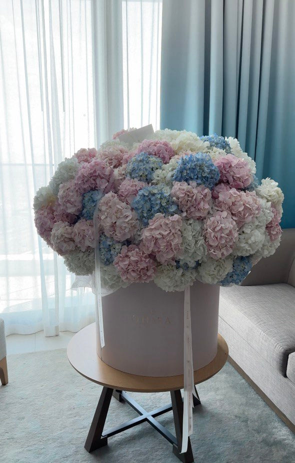Royal clouds